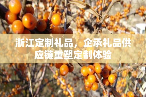 浙江定制礼品，企承礼品供应链重塑定制体验